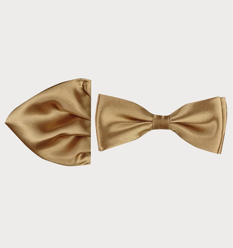 MUCHA Z POSZETKĄ  M12-17