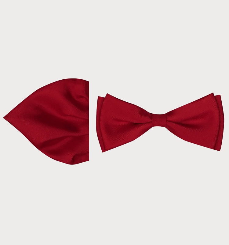 MUCHA Z POSZETKĄ  M12-56